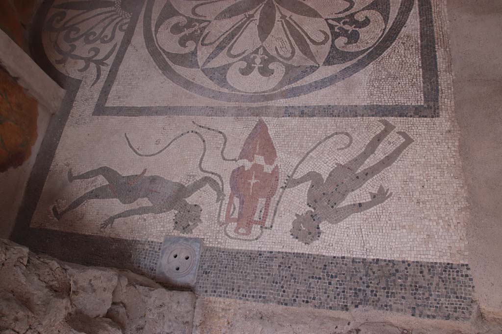 I.6.16 Pompeii. September 2019. West side of mosaic flooring. Photo courtesy of Klaus Heese. 
