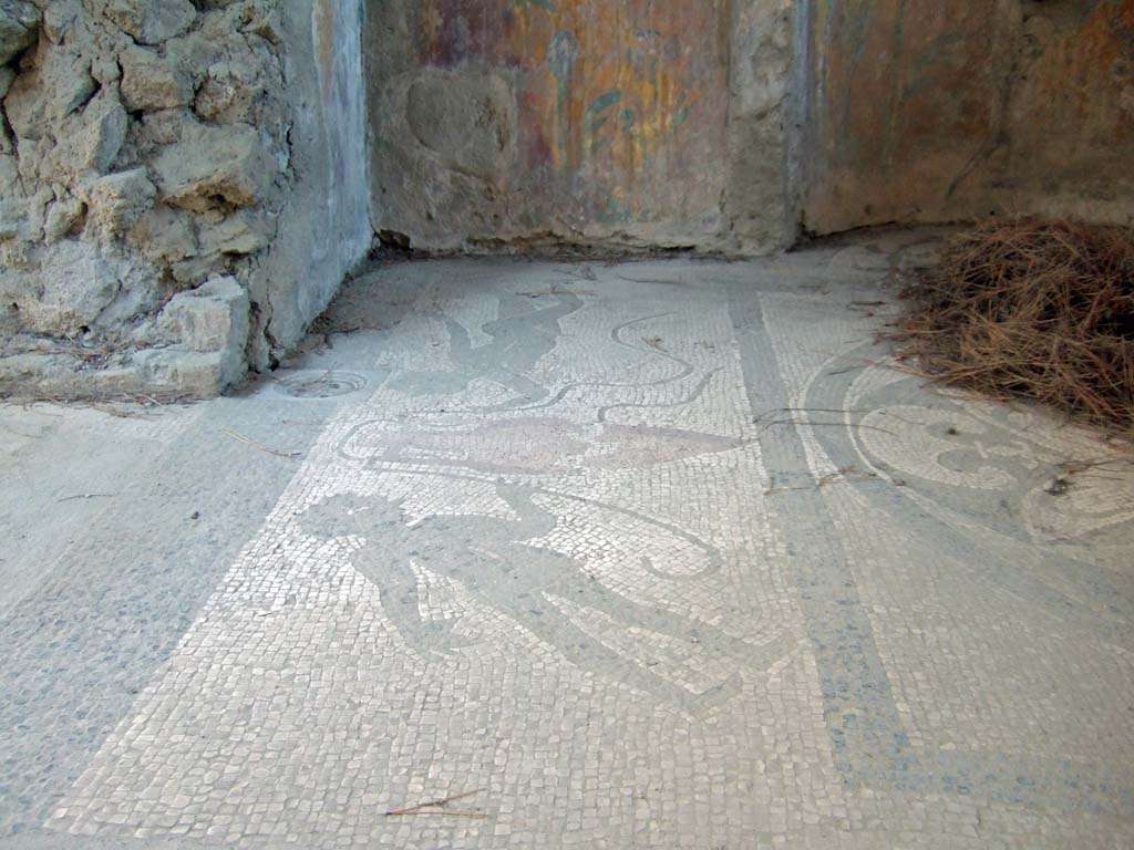 I.6.16 Pompeii. May 2006. View from rear entrance, west side of mosaic floor of calidarium.   