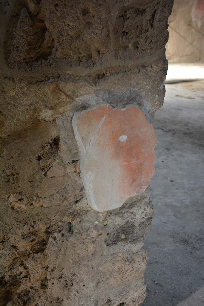 I.8.17 Pompeii. March 2019. 
Room 9, remaining painted stucco from west side of doorway to room 10.
Foto Annette Haug, ERC Grant 681269 DCOR.

