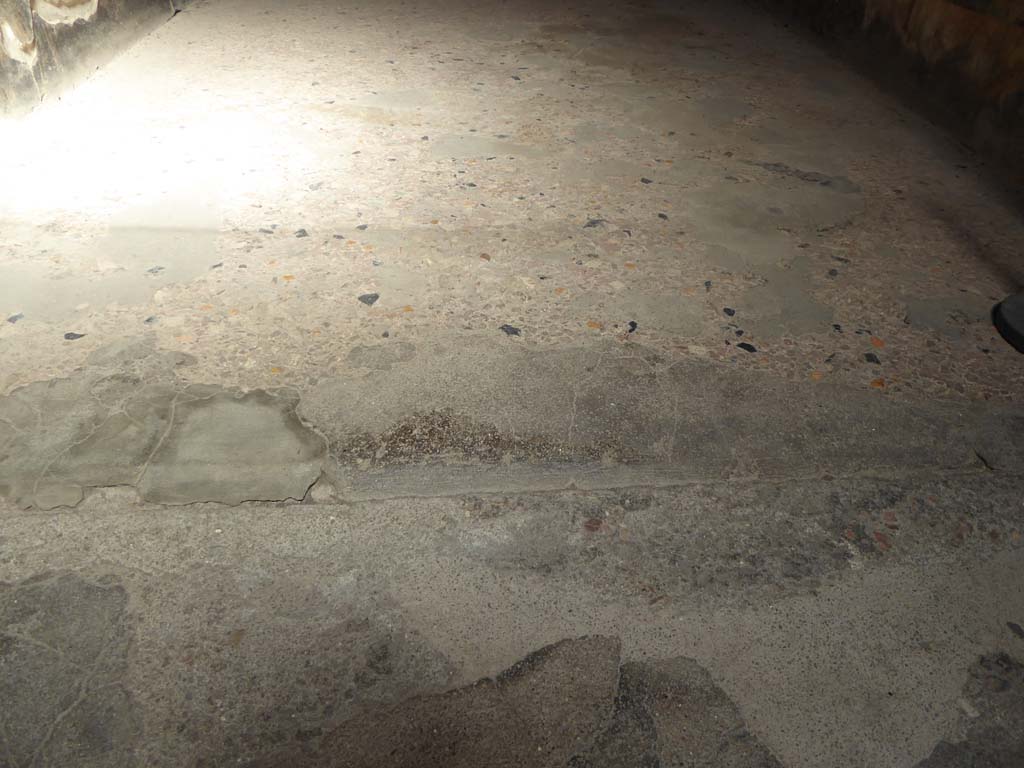 I.10.4 Pompeii. September 2018. Room 4, detail of flooring and threshold of doorway.  
Foto Annette Haug, ERC Grant 681269 DCOR.

