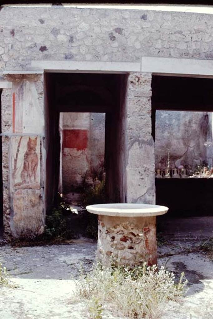 I.12.3 Pompeii. 1968. Room 6, garden area looking south from room 1.  
South wall that used to show a garden painting, with a white bird visible at the rear.
Photo by Stanley A. Jashemski.
Source: The Wilhelmina and Stanley A. Jashemski archive in the University of Maryland Library, Special Collections (See collection page) and made available under the Creative Commons Attribution-Non-Commercial License v.4. See Licence and use details.
J68f0754

