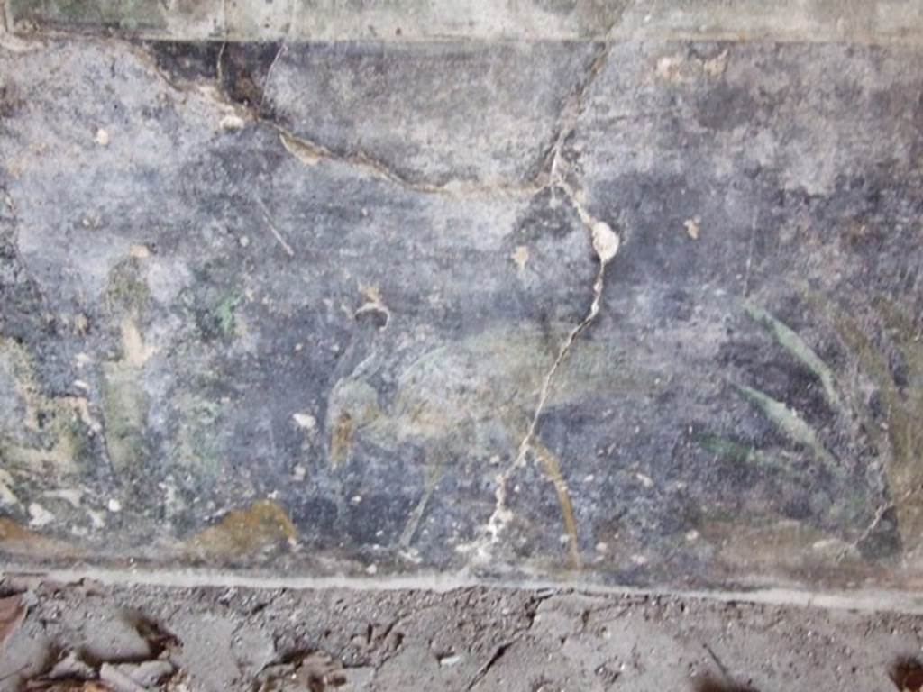 II.1.12 Pompeii. March 2009. Painted plants and heron on zoccolo on lower north wall of triclinium. 
 
