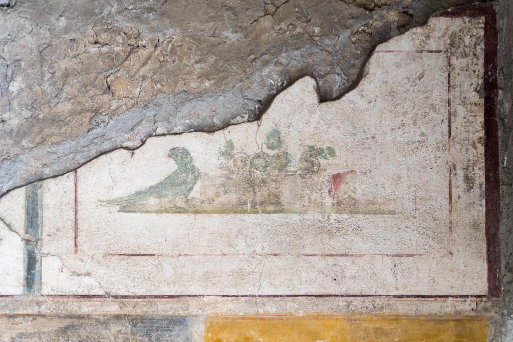 II.1.12 Pompeii. July 2021. 
Triclinium, upper section of north wall at east end. Wall painting of a parrot and fruit. Photo courtesy of Johannes Eber.
