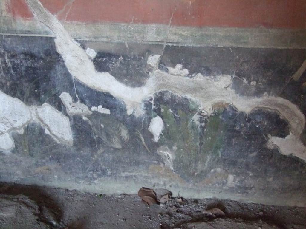 II.1.12 Pompeii. March 2009. Painted plants and heron from zoccolo on lower west wall of triclinium.