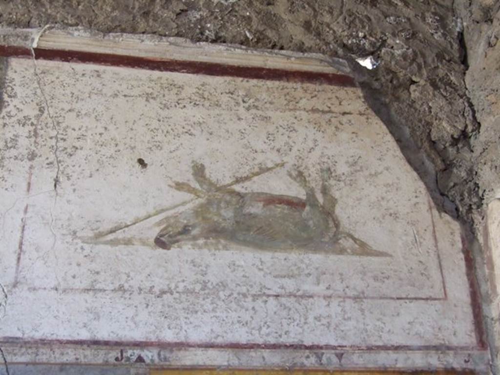 II.1.12 Pompeii. March 2009. Upper wall of south wall of triclinium with wall painting of a boar.