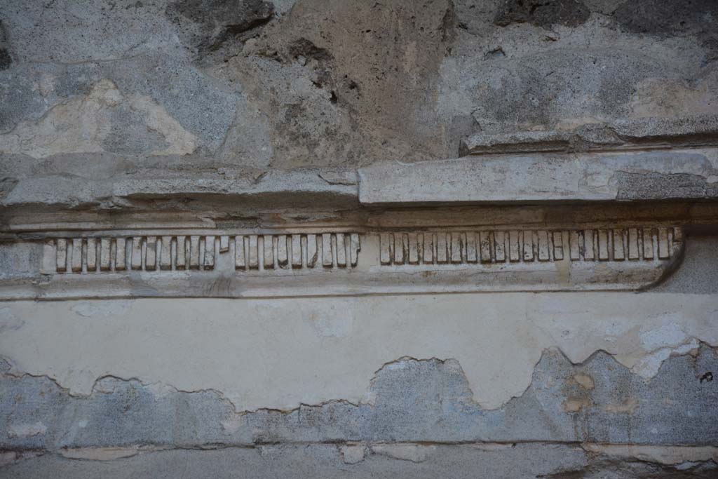 II.2.2 Pompeii. July 2017. Room 3, detail of stucco on east wall.
Foto Annette Haug, ERC Grant 681269 DCOR.
