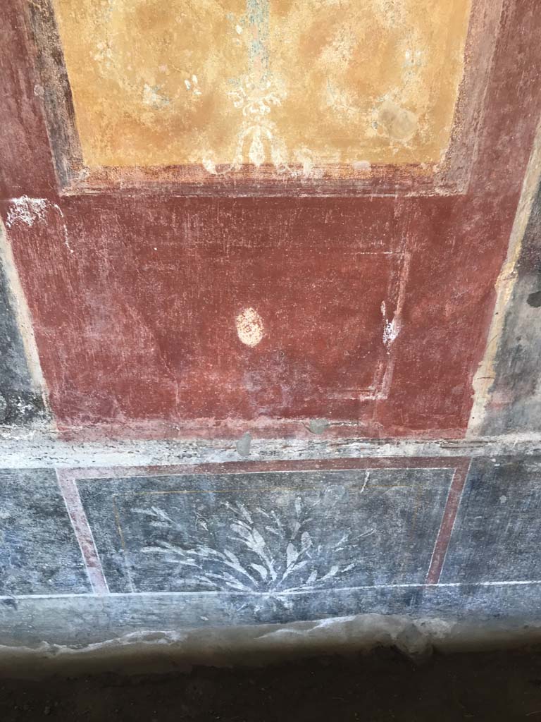 II.4.6 Pompeii. April 2019. Detail of black painted zoccolo/plinth with painted plant on west wall in portico.
Photo courtesy of Rick Bauer.
