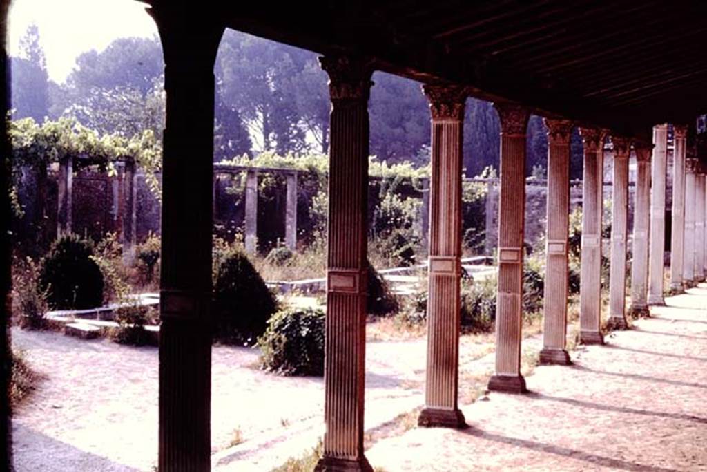 II.4.6 Pompeii. 1977. West peristyle, looking east towards garden area and water feature. Photo by Stanley A. Jashemski.   
Source: The Wilhelmina and Stanley A. Jashemski archive in the University of Maryland Library, Special Collections (See collection page) and made available under the Creative Commons Attribution-Non Commercial License v.4. See Licence and use details. J77f0440
