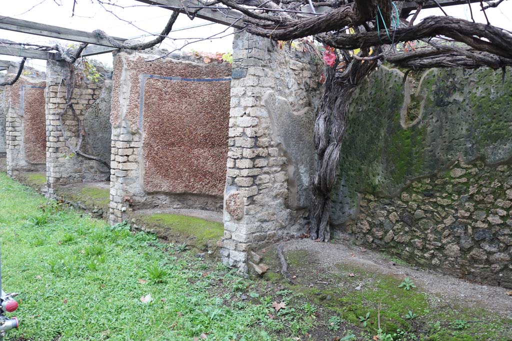 II.4.6 Pompeii. December 2018. Looking north on east side of garden. Photo courtesy of Aude Durand.
