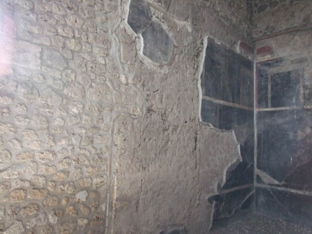 III.2.1 Pompeii.  March 2009.  Room 7.  Oecus.  West wall.