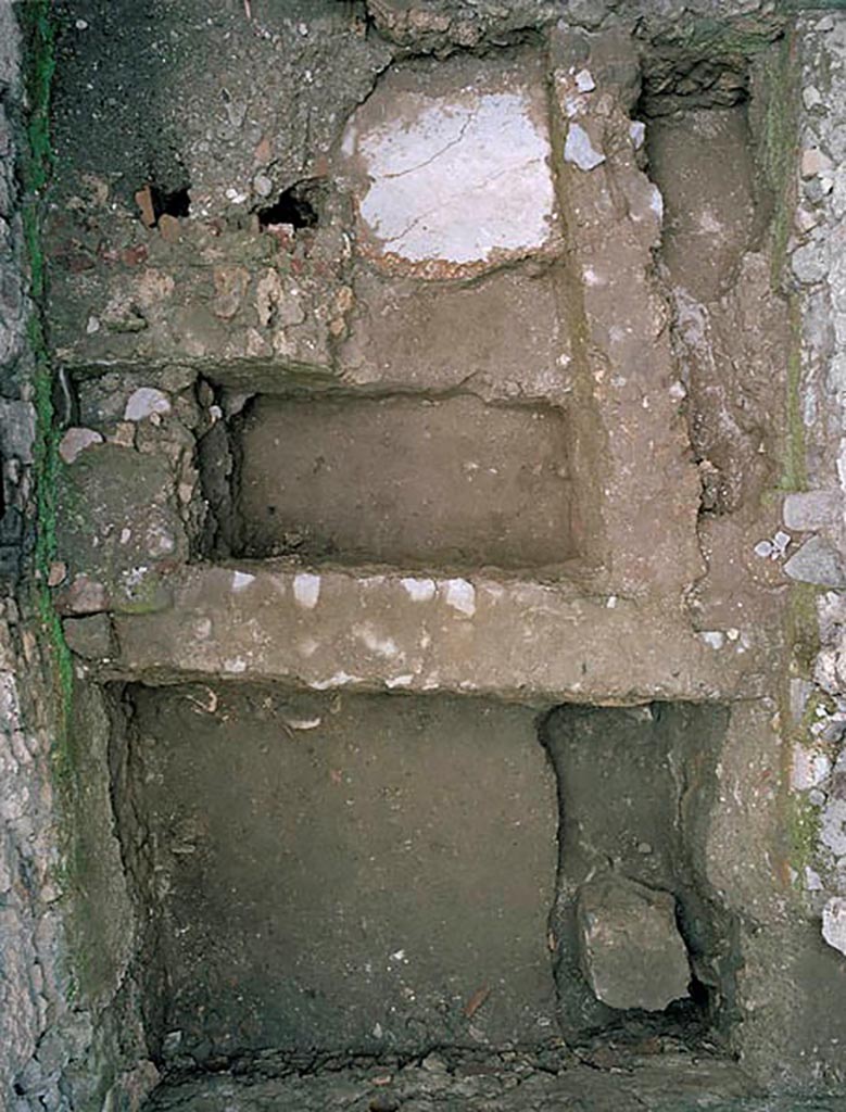V.1.11 Pompeii. c.2005-7? Room “x”, flooring. Photo by Hans Thorwid.
“North part of wall containing structures interpreted as basins.”
Photo and words courtesy of The Swedish Pompeii Project.
