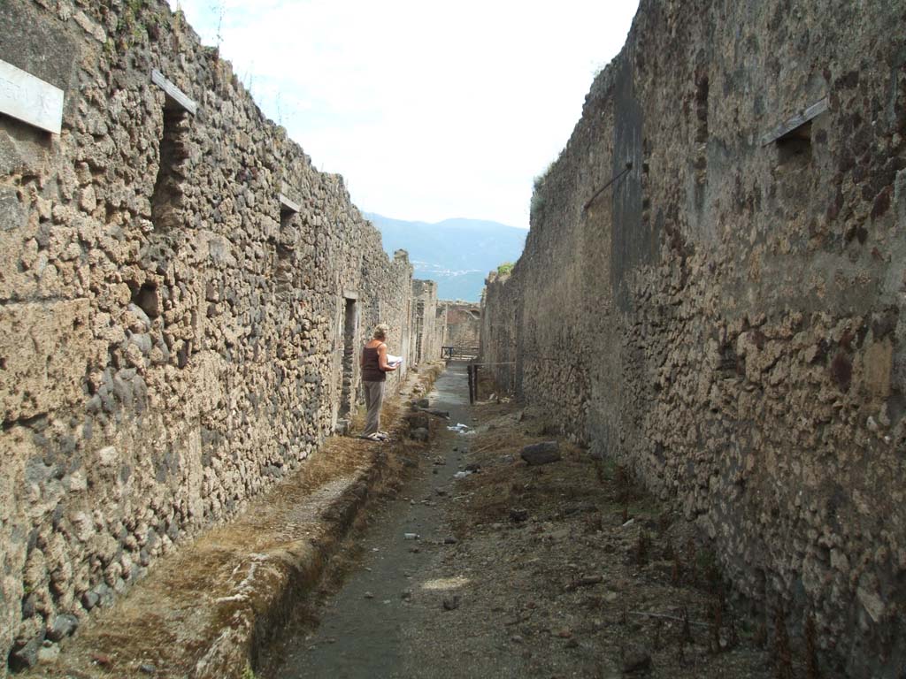 V.2 Pompeii, on left. May 2005.           Vicolo di Cecilio Giocondo, looking south.                      Side wall of V.1.11, on right.