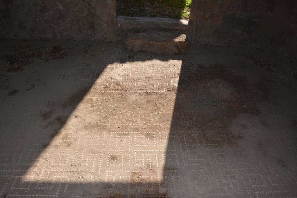 V.2.h Pompeii. October 2019. Tablinum ‘f’, looking south across flooring, with detail of “net” design in centre.
Foto Annette Haug, ERC Grant 681269 DÉCOR.


