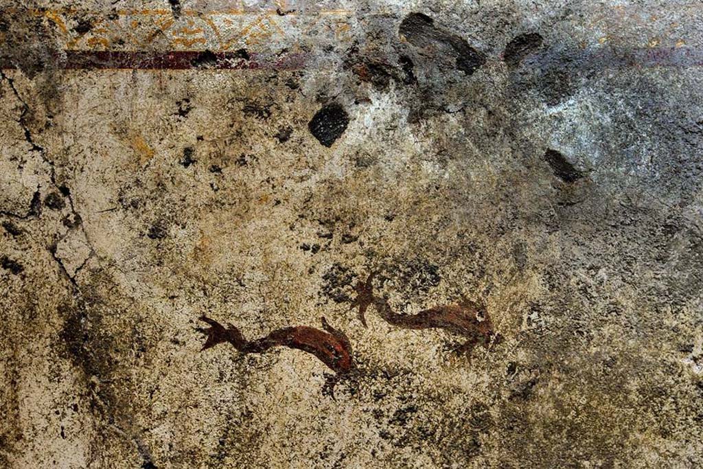 V.7.7 Pompeii. 2018. Room to the west of the entrance. East wall, north end, with painting of two dolphins.
Photograph © Parco Archeologico di Pompei.
