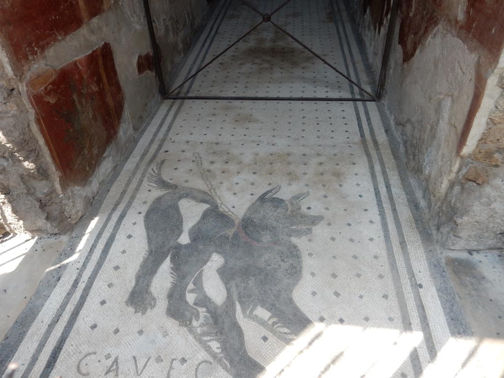 VI.8.5 Pompeii. May 2015. Cave Canem mosaic at entrance doorway. Photo courtesy of Buzz Ferebee.