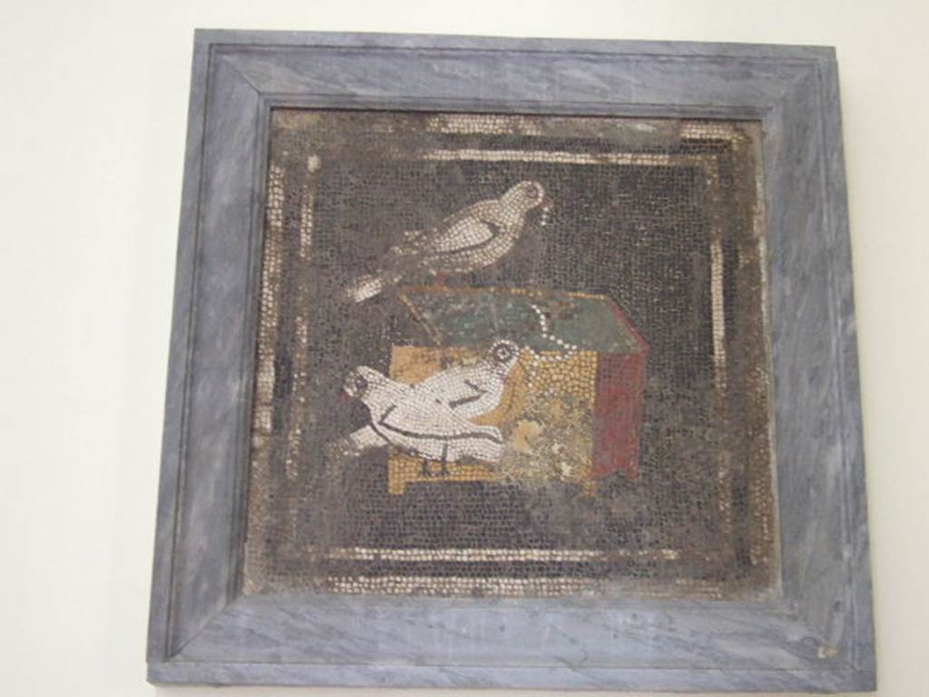 VI.12.2 Pompeii. Original doves mosaic found in ala on west side of atrium. 
Mau referred to this as “a work of slight merit”.
See Mau, A., 1907, translated by Kelsey F. W. Pompeii: Its Life and Art. New York: Macmillan. (p. 292).
Now in Naples Archaeological Museum. Inventory number s. n. This was found 1st December 1830 in ala 29.
See Pagano, M. and Prisciandaro, R., 2006. Studio sulle provenienze degli oggetti rinvenuti negli scavi borbonici del regno di Napoli.  Naples : Nicola Longobardi, (p. 144). See PAH II, 242.


