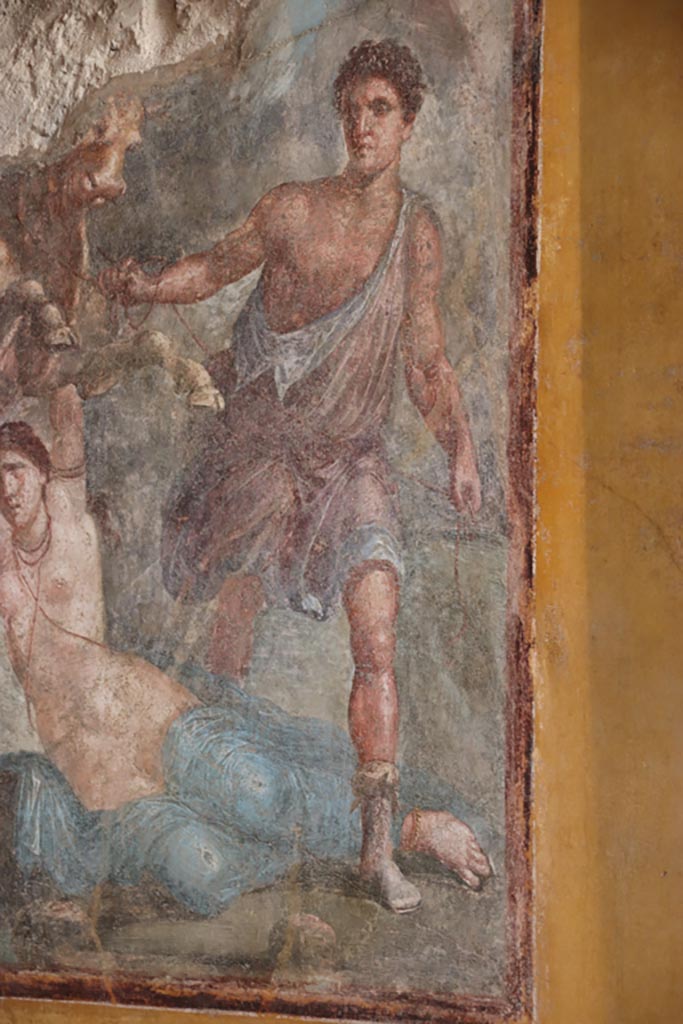 VI.15.1 Pompeii. October 2023.
Detail from left side of painting of the Punishment of Dirce from centre of south wall of exedra. Photo courtesy of Klaus Heese.
