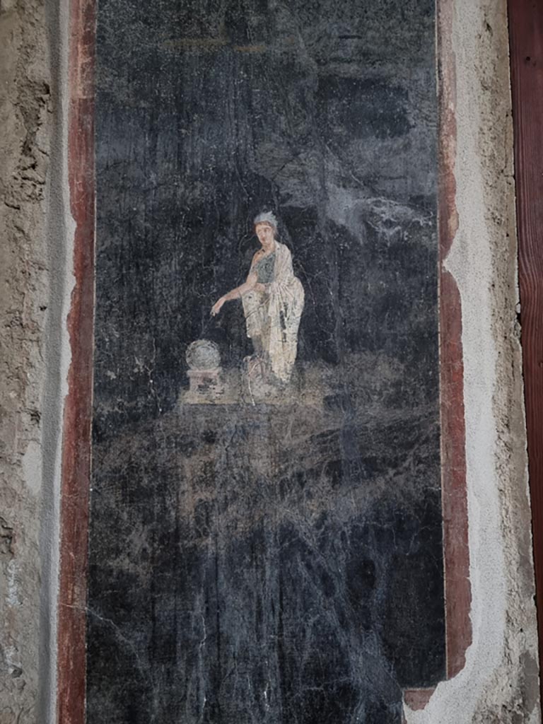 VI.15.1 Pompeii. December 2023.
Painted panel from north-east corner of east portico, painting from between doorway to exedra and window to ala.
Photo courtesy of Miriam Colomer.

