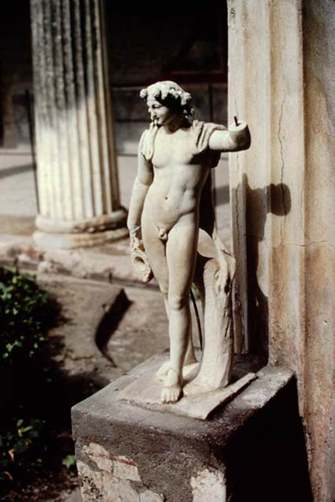 VI.15.1 Pompeii. 1972. Peristyle garden, marble statue of Bacchus in situ in south-east corner. Photo by Stanley A. Jashemski. 
Source: The Wilhelmina and Stanley A. Jashemski archive in the University of Maryland Library, Special Collections (See collection page) and made available under the Creative Commons Attribution-Non Commercial License v.4. See Licence and use details. J72f0408
