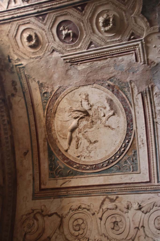 VII.5.24 Pompeii. September 2017. 
Detail from ceiling plaster stucco in south-west corner of tepidarium (37). Photo courtesy of Klaus Heese.
