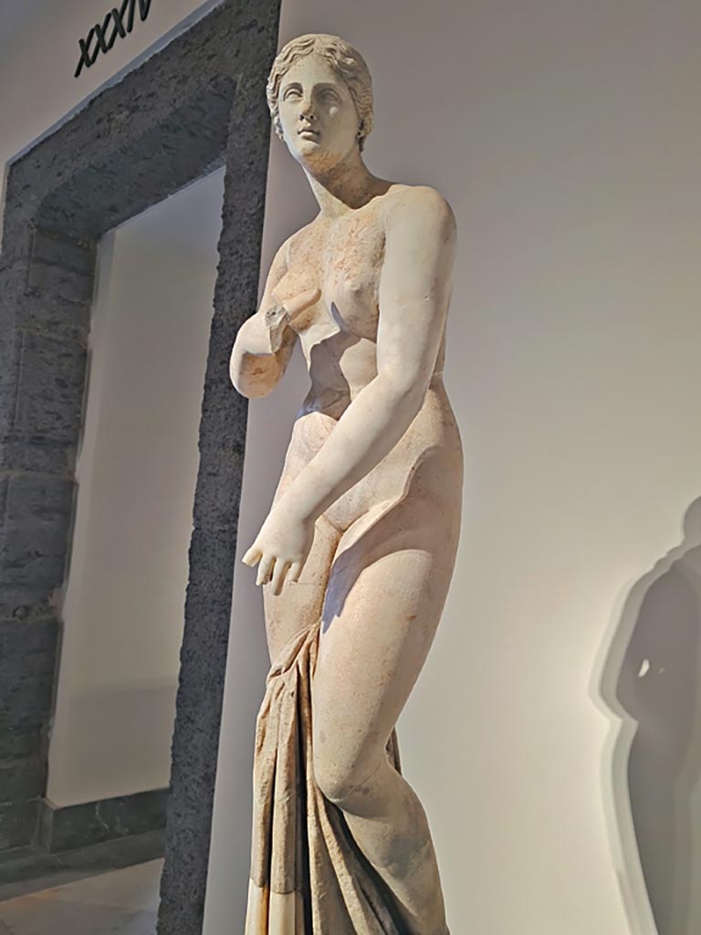 VII.7.32 Pompeii. April 2023. Museum information card for Aphrodite statue inv. 6294. Photo courtesy of Giuseppe Ciaramella.