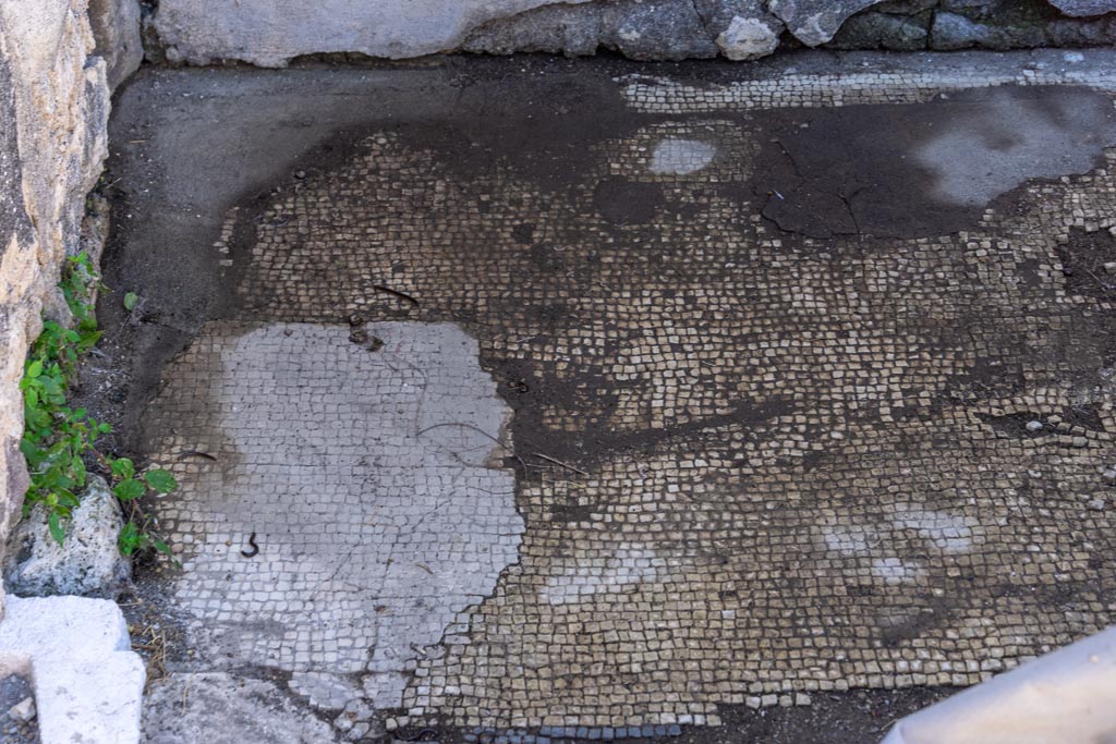 VII.7.32 Pompeii. October 2023. Detail of flooring on west side of doorway in south-west corner. Photo courtesy of Johannes Eber.