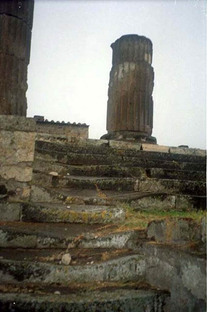 VII.8.1 Pompeii. July 2011.
Temple of Jupiter, steps leading up the podium on west side. 
Photo courtesy of Rick Bauer.
