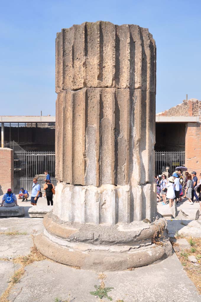 VII.8.01 Pompeii. July 2017. Column at west end, looking west.
Foto Anne Kleineberg, ERC Grant 681269 DÉCOR
