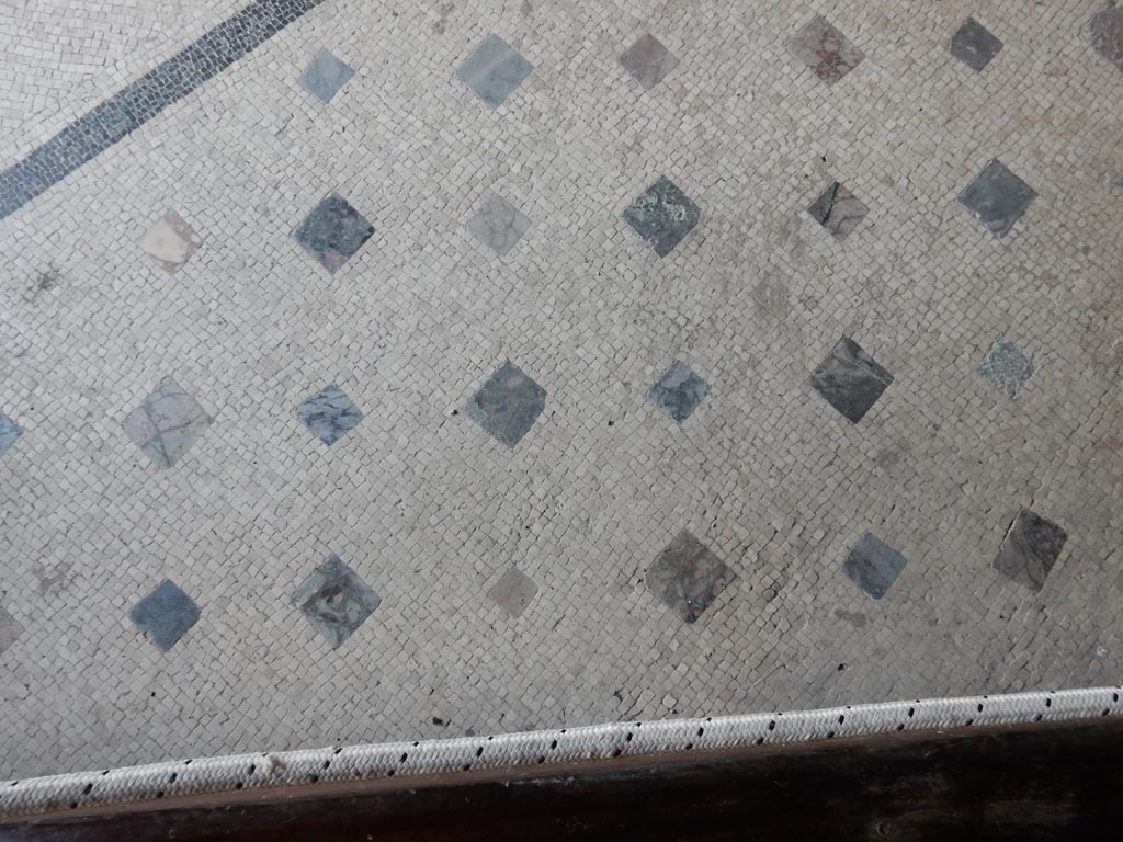 VII.16.a Pompeii. May 2015. Detail of mosaic floor in vestibule 8. Photo courtesy of Buzz Ferebee.