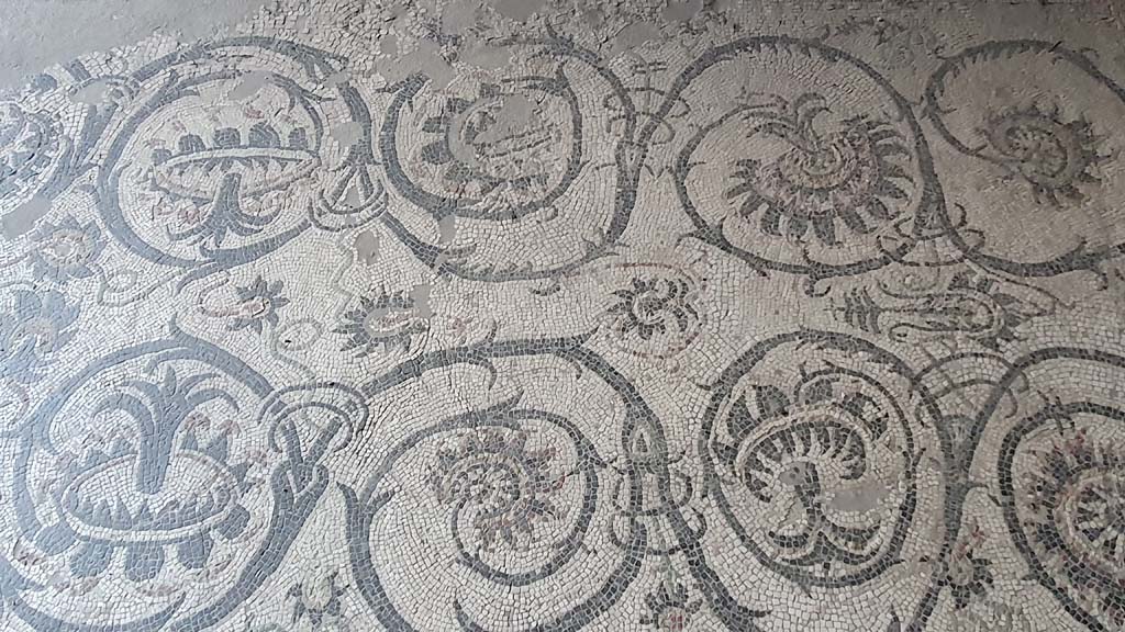 VII.16.a Pompeii. August 2021. Detail of mosaic floor in vestibule 8
Foto Annette Haug, ERC Grant 681269 DÉCOR.
