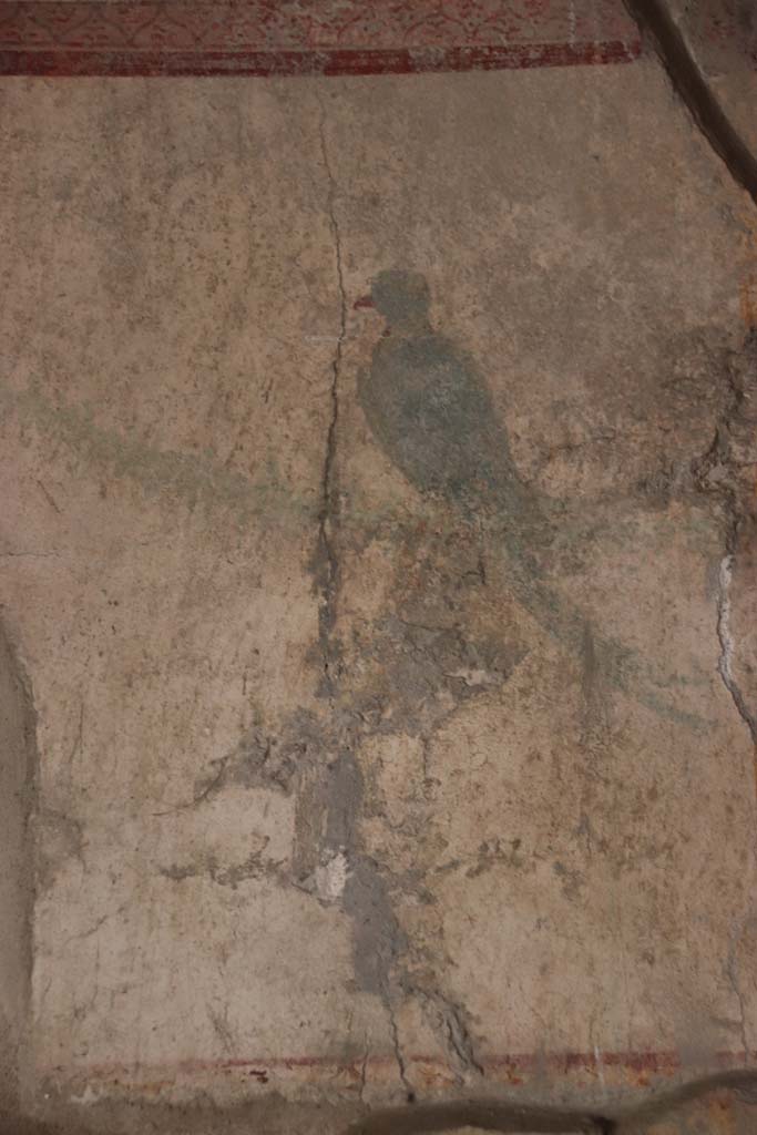 VII.16.a Pompeii. October 2020. Vestibule 8, detail of a painted bird from upper east wall.
Photo courtesy of Klaus Heese.
