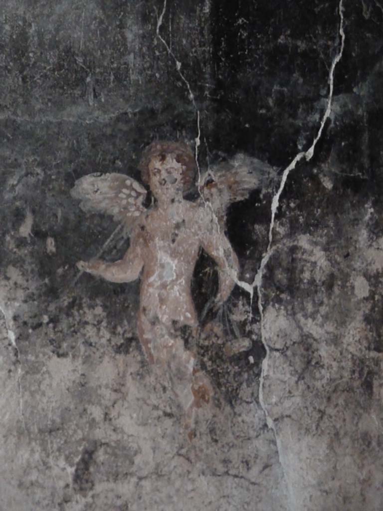 VII.16.a Pompeii. May 2010. 
Vestibule 8, detail of painting of winged cherub on the east wall near doorway to room 7.
