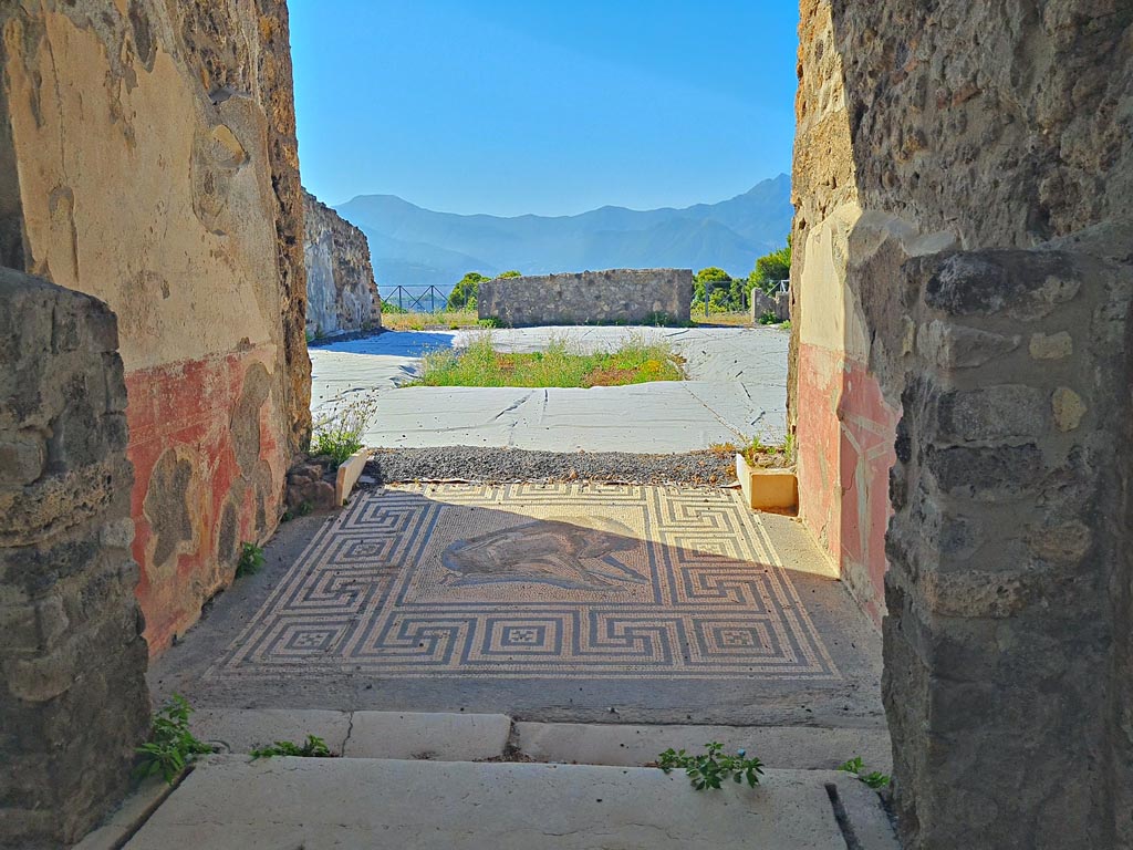 VIII.2.26 Pompeii. April 2022. Looking south from entrance vestibule “a”. Photo courtesy of Giuseppe Ciaramella.