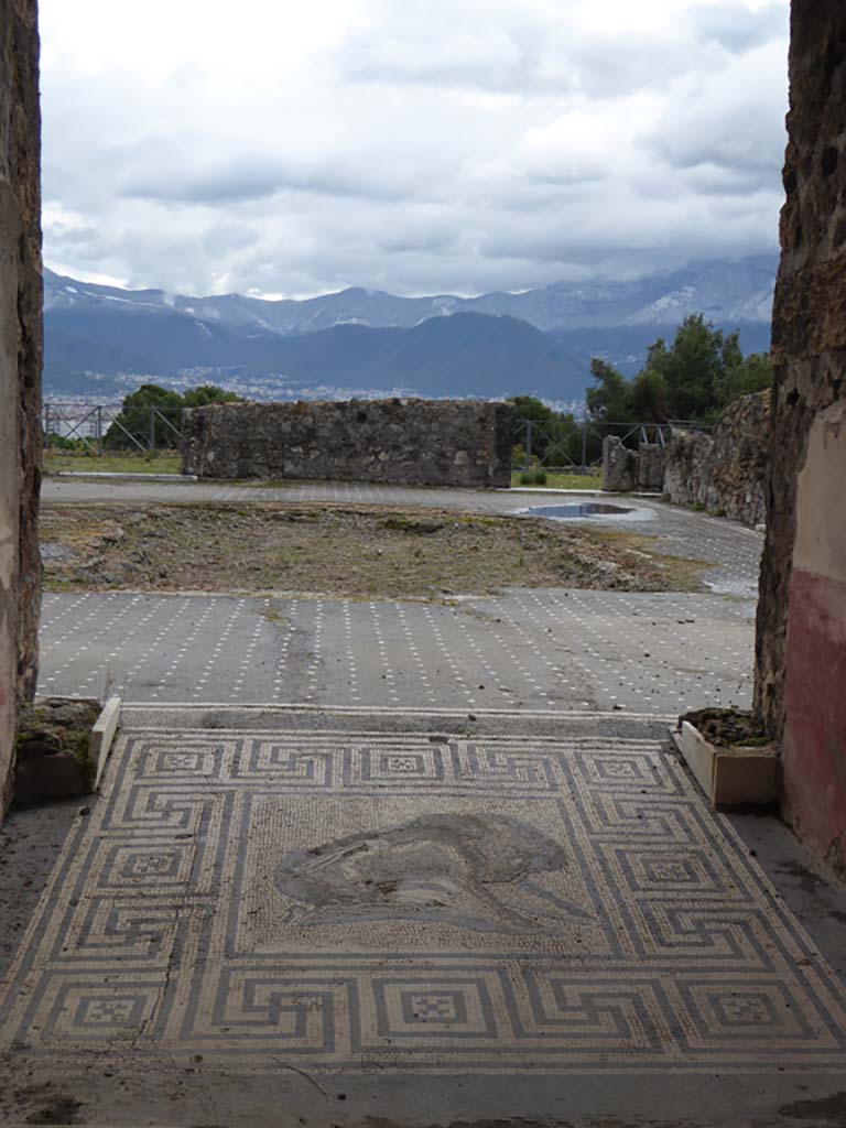 VIII.2.26 Pompeii. January 2017. Looking south into vestibule ‘b’ with boar mosaic.
Foto Annette Haug, ERC Grant 681269 DÉCOR.
