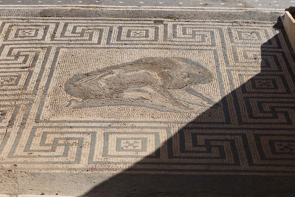 VIII.2.26 Pompeii. December 2018. Boar mosaic. Photo courtesy of Aude Durand.
