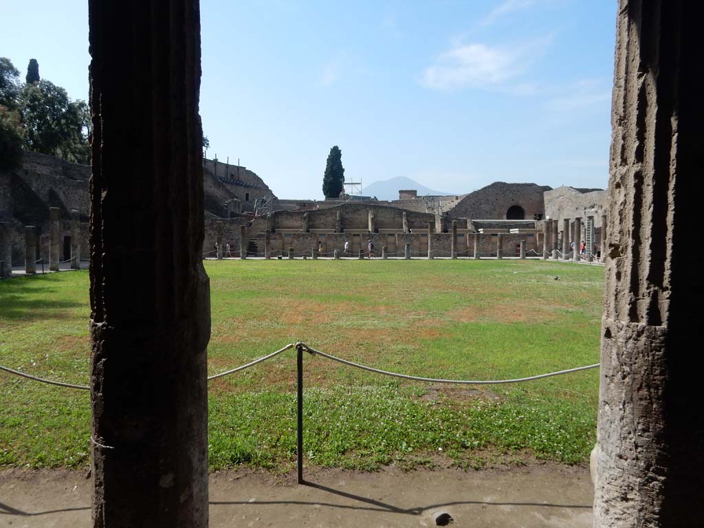 VIII.7.16 Pompeii. June 2019. Looking north from south side. Photo courtesy of Buzz Ferebee.