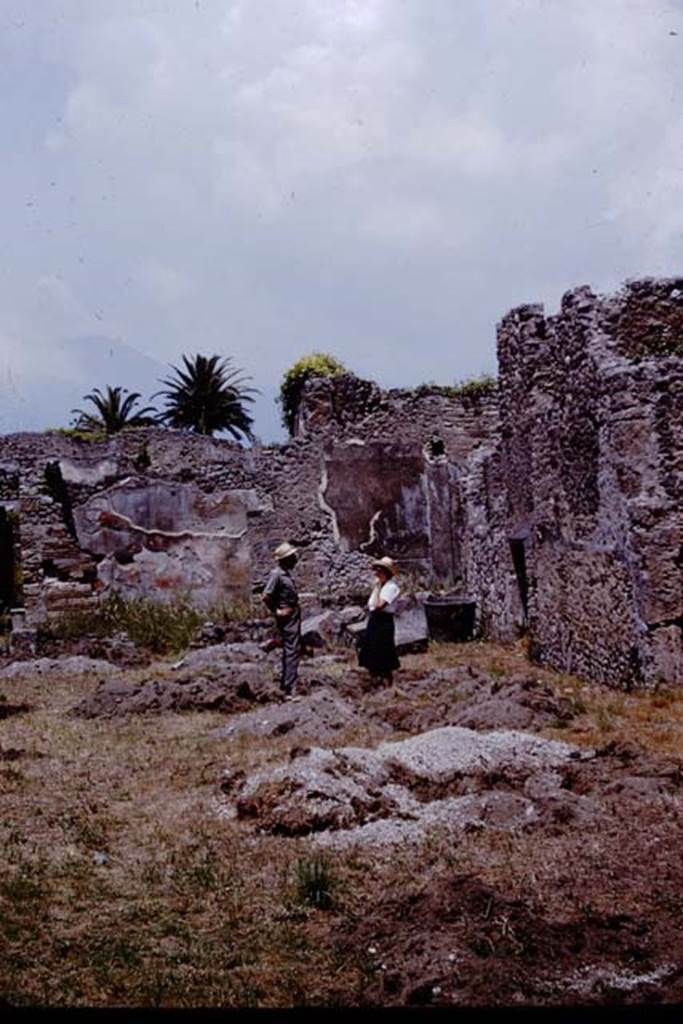IX.9.6/10 Pompeii. 1964. North-east corner of garden area. Photo by Stanley A. Jashemski.
Source: The Wilhelmina and Stanley A. Jashemski archive in the University of Maryland Library, Special Collections (See collection page) and made available under the Creative Commons Attribution-Non Commercial License v.4. See Licence and use details.
J64f1862  

