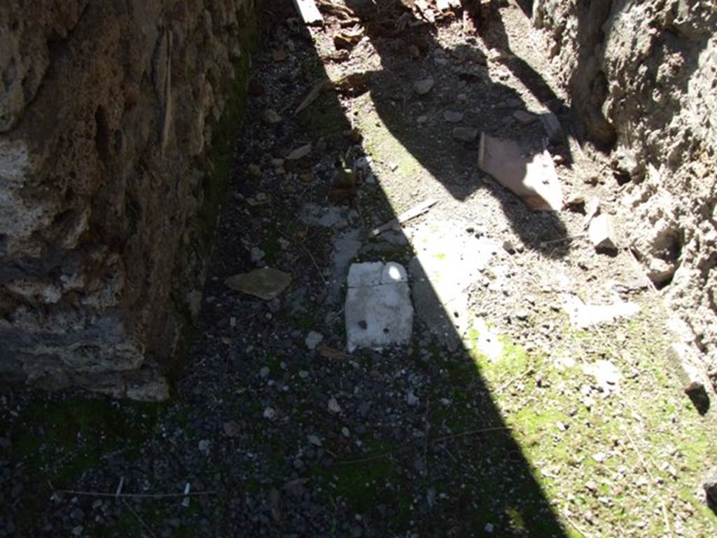 IX.9.f Pompeii.  March 2009.  Floor in entrance passage.  Looking west.