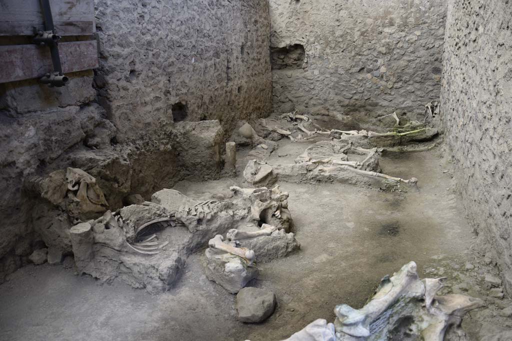 IX.12.8 Pompeii. February 2017. Looking north across stable, with skeletons of mules or donkeys. Photo courtesy of Johannes Eber.
