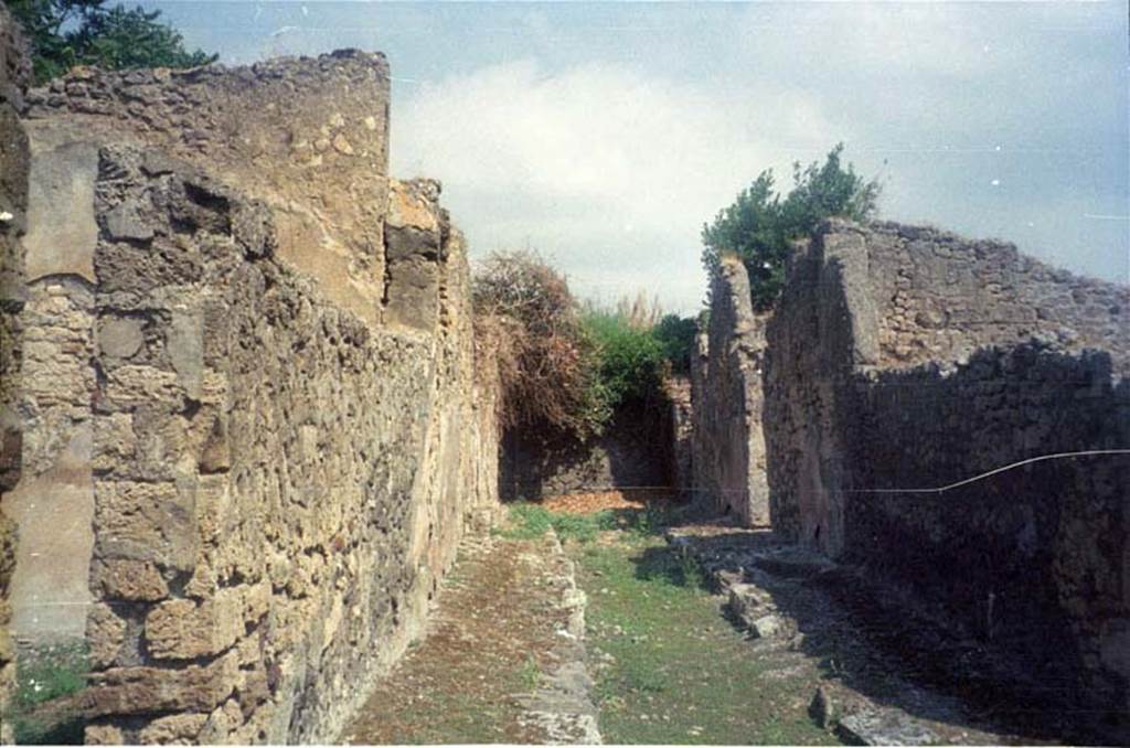 Vicolo di Lucrezio Frontone. July 2011. Looking north from near doorway of V.3.10. Photo courtesy of Rick Bauer.
