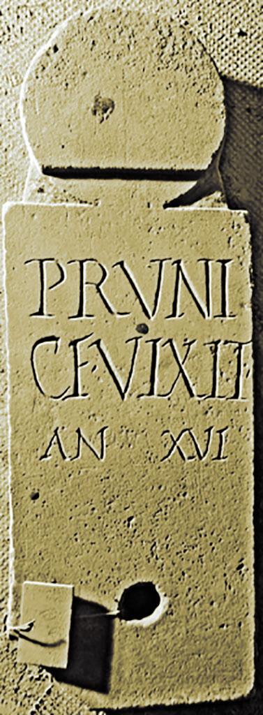 FS94-7. Marble columella of Pruni.
With circular hole near the base, found in the area between wall and tomb, 0.60m high, 0.21m wide:

PRVNI
C F VIXIT
AN XVI

