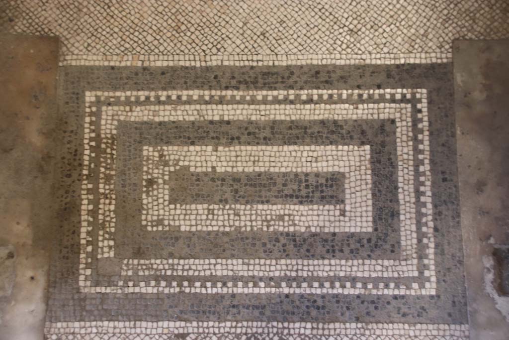 Oplontis Villa of Poppea, September 2021. Mosaic threshold in doorway dividing room 15 from room 14. Photo courtesy of Klaus Heese.