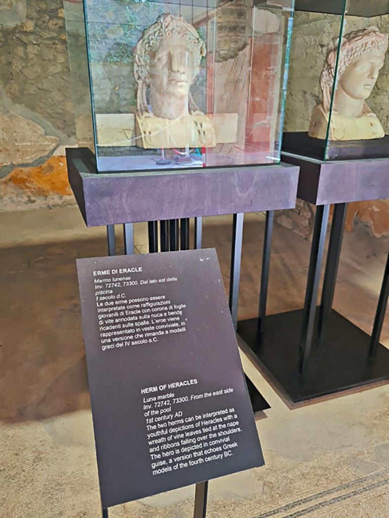 Oplontis Villa of Poppea, October 2023. 
Area 92/96, two marble herms of Hercules with description card, on display in Room 25. 
Photo courtesy of Giuseppe Ciaramella. 

