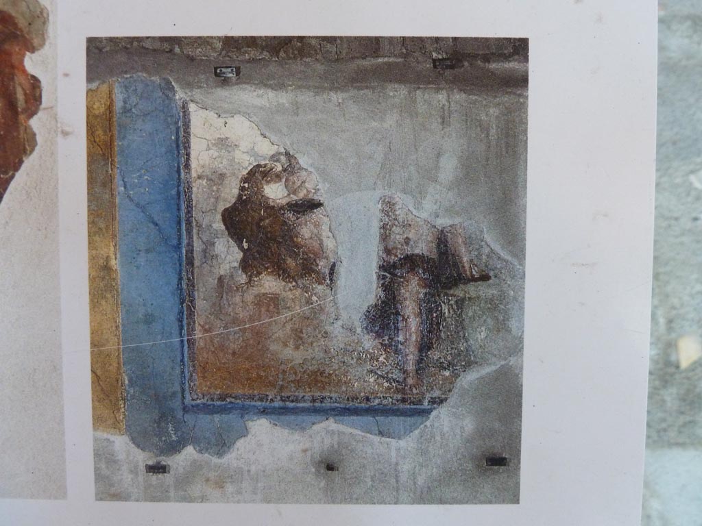 Stabiae, Villa Arianna, September 2015. 
Description board showing photo of the painting of Zeus in the guise of an eagle abducting Ganymede, from the west wall.
