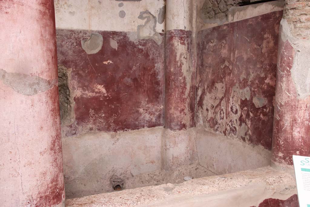 Stabiae, Villa Arianna, October 2020. Room 21, painted walls behind pool/tank, looking towards south-west corner. Photo courtesy of Klaus Heese.