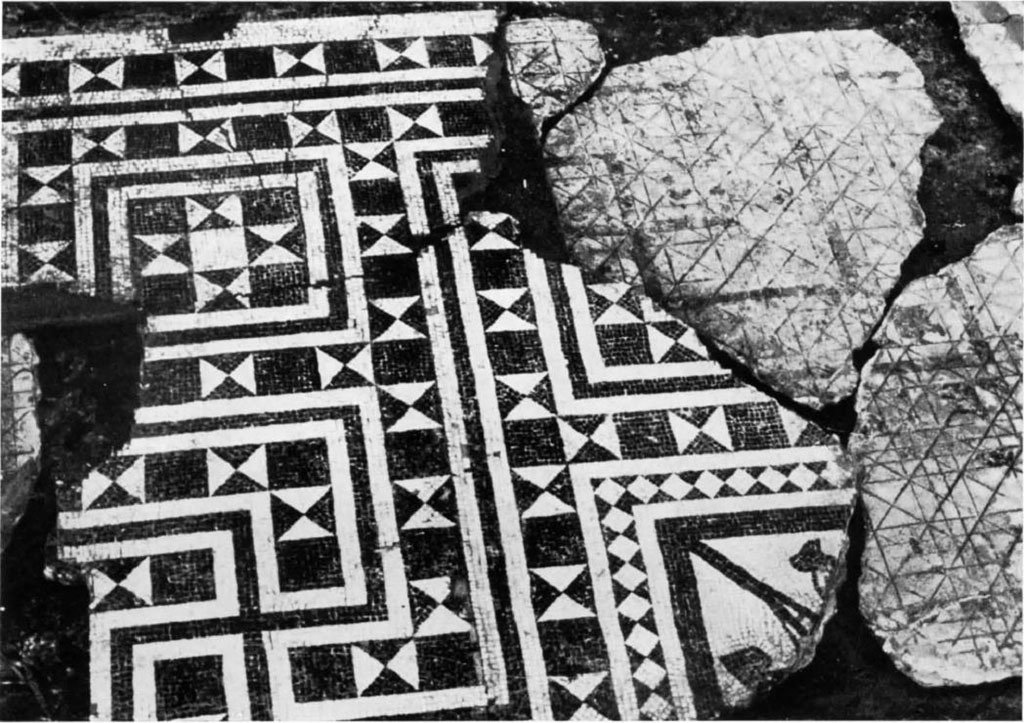 Stabiae, Villa Arianna, Room 18 tablinum, fragment of the mosaic and the sinopia.
See Bollettino d’Arte 1973 Fasc. I. Robotti C, Una sinopia musiva pavimentale a Stabia (p.43, fig. 1)
