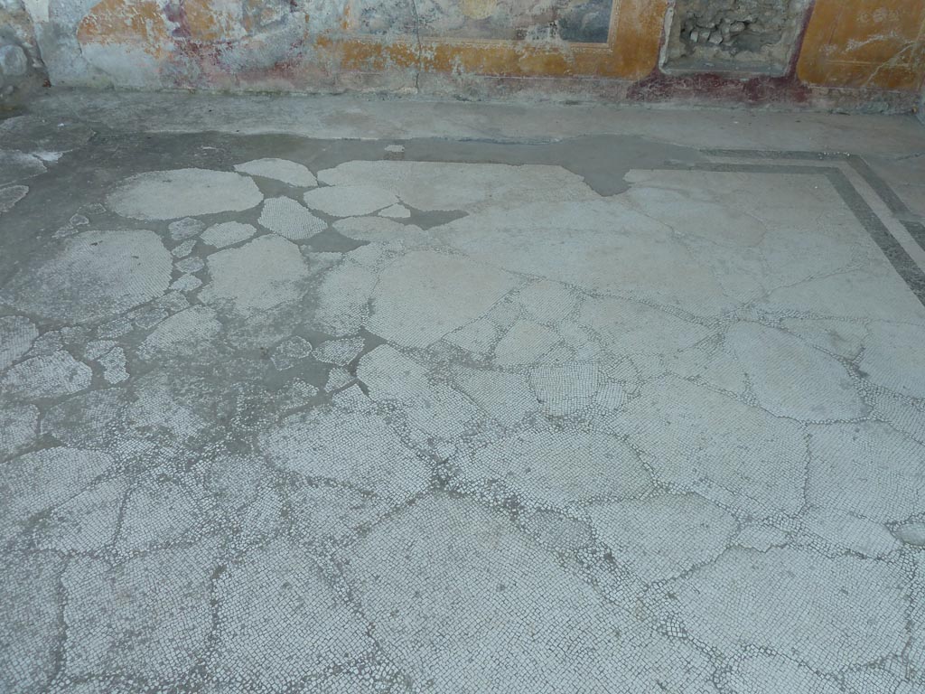 Stabiae, Villa Arianna, September 2015. Room 42, mosaic floor.