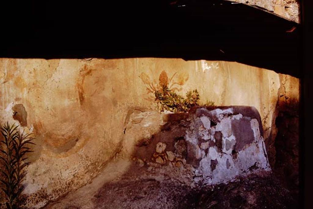 Pompeii Street Altar at I.8.1. 1968. Rectangular altar on top of the ramp with remains of painting. Photo by Stanley A. Jashemski.
Source: The Wilhelmina and Stanley A. Jashemski archive in the University of Maryland Library, Special Collections (See collection page) and made available under the Creative Commons Attribution-Non Commercial License v.4. See Licence and use details.
J68f0549