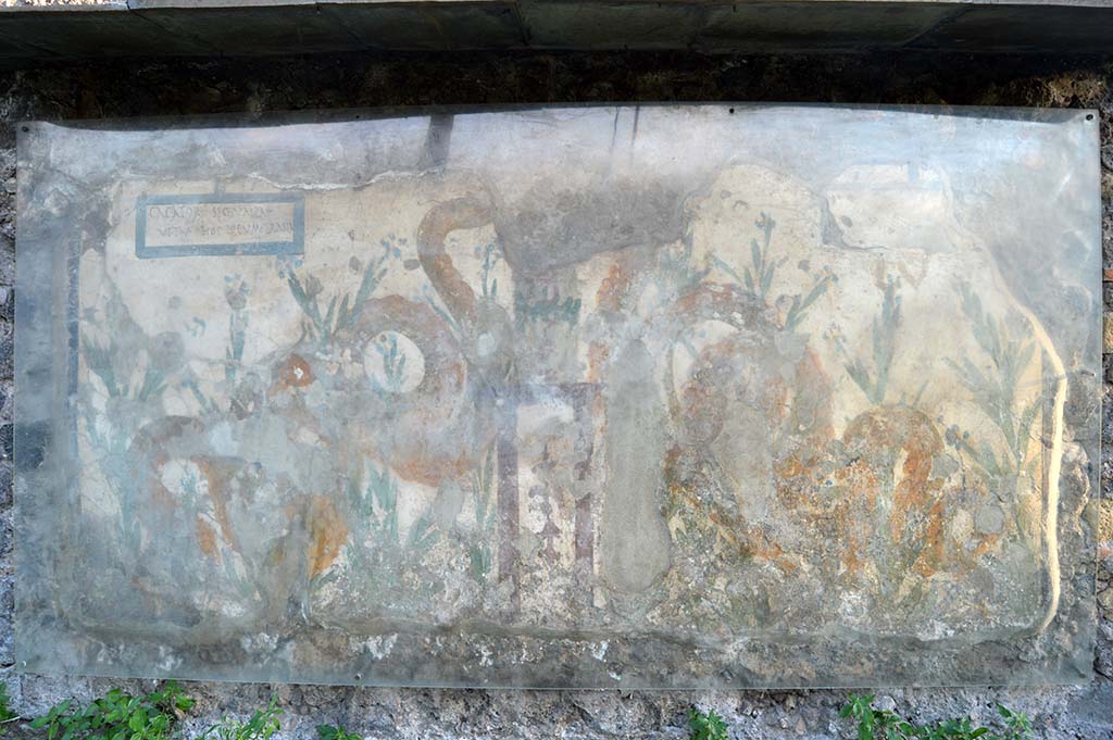 V.6.19 Pompeii. October 2017. Detail of painted lararium on exterior wall.
Foto Taylor Lauritsen, ERC Grant 681269 DÉCOR.
