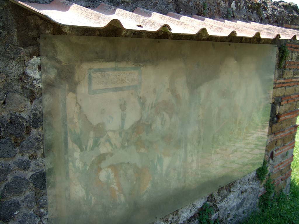 V.6.19 Pompeii. May 2006. Lararium painted on the wall at V.6.19. 
This shows two serpents moving through plants to an altar that had offerings on it.
In the top left-hand side, CIL IV 6641 can be seen, written in the painted rectangle.